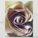 Suche nach botanisch flyer Rose