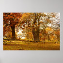 Suche nach eichenbaum poster Herbst