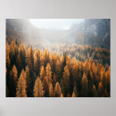 Suche nach lärchen kunst poster Herbst