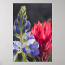 Suche nach ken archer poster Superstock