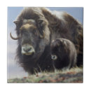 Suche nach kalb fliesen Tierwelt