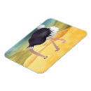 Suche nach strauß magnete Vogelvogel