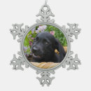 Suche nach labrador ornamente Lustig