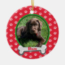 Suche nach pfoten ornamente Dogs