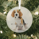 Suche nach pet ornamente First christmas