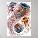 Suche nach platte poster Vintag