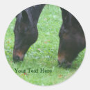Suche nach tieraufkleber Pferd