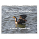 Suche nach vögel kalender Küste