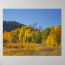 Suche nach aspen poster Farbig