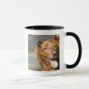 Suche nach misch zucht hund tassen Tag