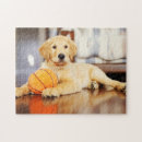 Suche nach golden retriever puzzle Welpen