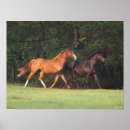 Suche nach oldenburg poster Bob langrish