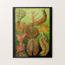 Suche nach haeckel puzzle Kunstformen der natur