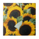 Suche nach washington fliesen Jamie