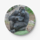Suche nach gorilla pappteller Wildtiere
