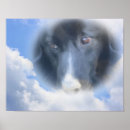 Suche nach border collie kunst poster Grenzkollie
