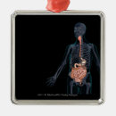 Suche nach transparent ornamente Körper