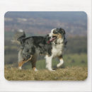 Suche nach pam mousepads Bob und pam langrish