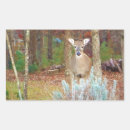 Suche nach weißer schwanz aufkleber Jäger
