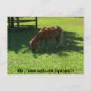 Suche nach mini postkarten Fotografie