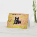 Suche nach trauriger hund karten Niedlich