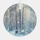 Suche nach szene ornamente Schneebedeckt