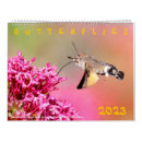 Suche nach schmetterlinge kalender Makro
