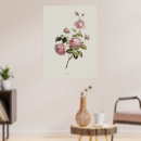 Suche nach jahrhundert poster Rosa