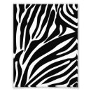 Suche nach zebra foto poster Tier
