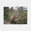 Suche nach tier fleecedecke Vögel