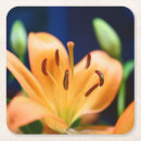 Suche nach gartenbau untersetzer Natur