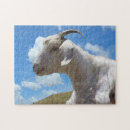 Suche nach ziege puzzle Weiß