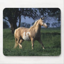 Suche nach malen sie pferde mousepads Bob langrish