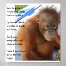 Suche nach favorite poster Tiere