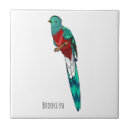 Suche nach zentralamerika fliesen Vogelvogel