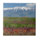 Suche nach utahs fliesen Amerika