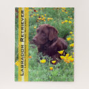 Suche nach brauner labrador puzzle Retriever