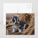 Suche nach babytiere postkarten Kleintiere