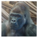 Suche nach afrikanische tiere fliesen Wildtiere