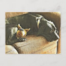 Suche nach mit bedauern postkarten Hund