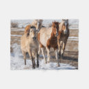 Suche nach pferde schnee decken Bauernhof