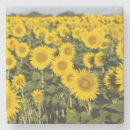 Suche nach provence untersetzer Blume
