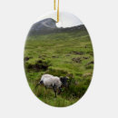 Suche nach heiliger patrick ornamente Irland