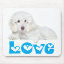 Suche nach pudel geschenke Welpen