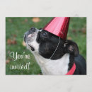 Suche nach boston terrier einladungen Party