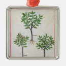 Suche nach heilend ornamente Beleuchtung