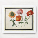 Suche nach chrysantheme mousepads Botanisch