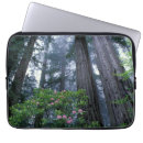 Suche nach baumstämme laptop schutzhüllen Wald
