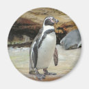 Suche nach pinguin magnete Antarktisch