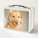 Suche nach golden retriever brotdose brotdosen Portrait